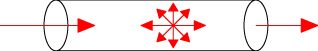 c1.jpg